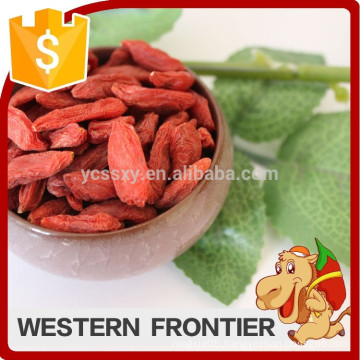 Reliable supplier free samples organic goji berries